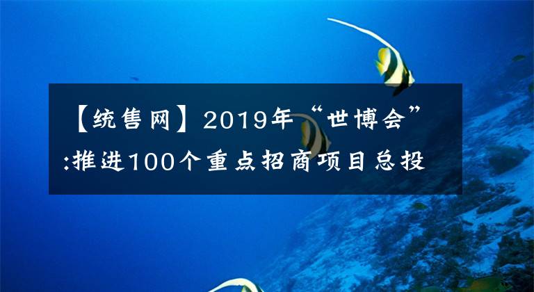 【统售网】2019年“世博会”:推进100个重点招商项目总投资额2000亿韩元以上。