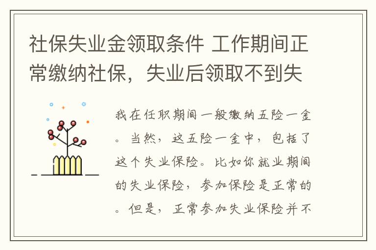 社保失业金领取条件 工作期间正常缴纳社保，失业后领取不到失业金该怎么办？