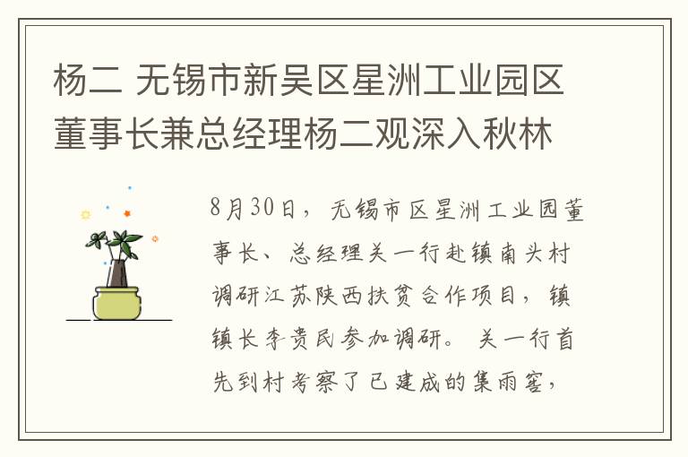 杨二 无锡市新吴区星洲工业园区董事长兼总经理杨二观深入秋林镇南头村调研苏陕扶贫协作项目