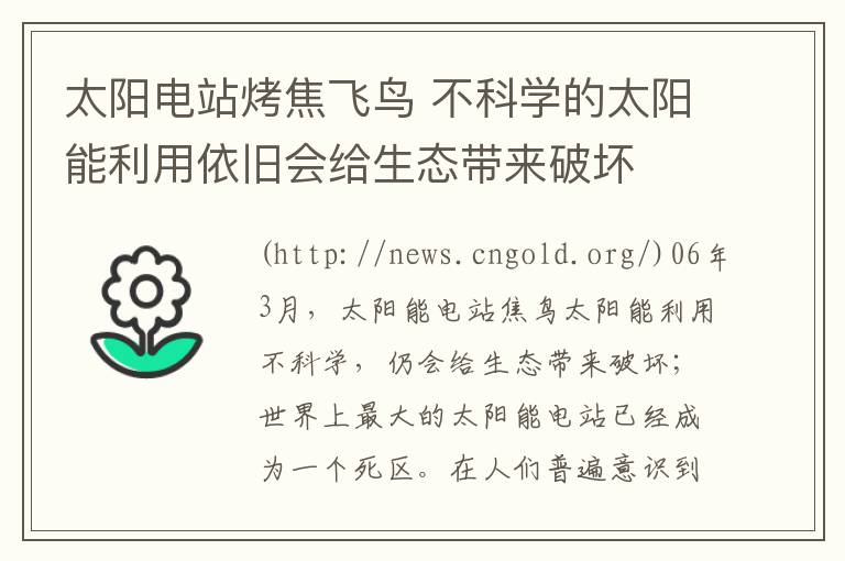 太阳电站烤焦飞鸟 不科学的太阳能利用依旧会给生态带来破坏