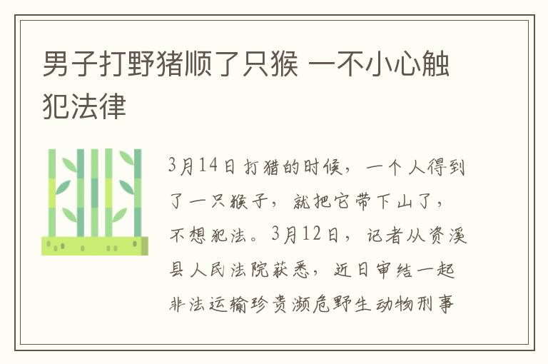 男子打野猪顺了只猴 一不小心触犯法律