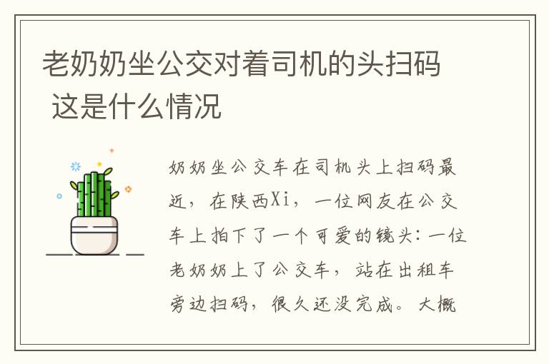 老奶奶坐公交对着司机的头扫码 这是什么情况