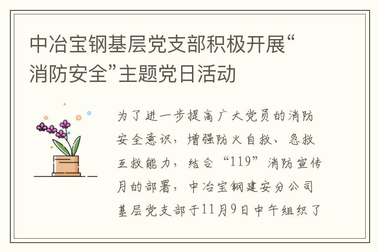 中冶宝钢基层党支部积极开展“消防安全”主题党日活动