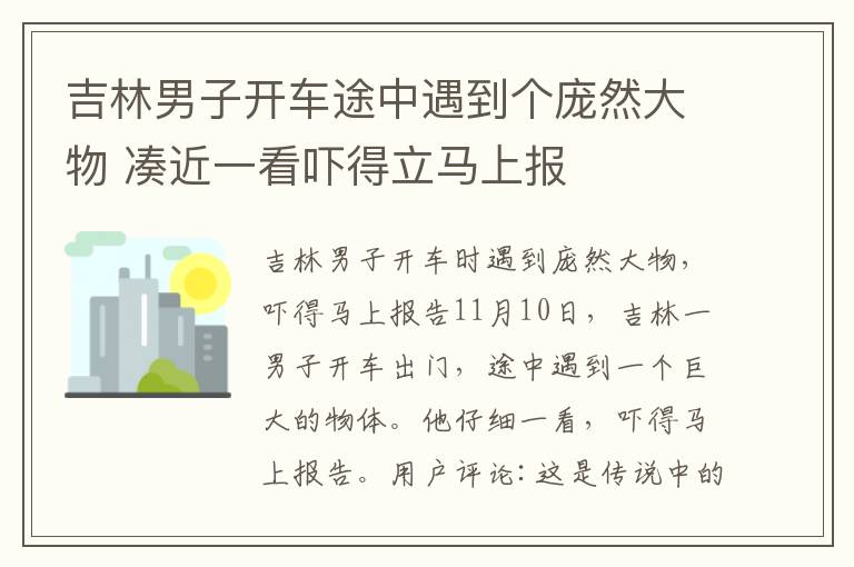 吉林男子开车途中遇到个庞然大物 凑近一看吓得立马上报