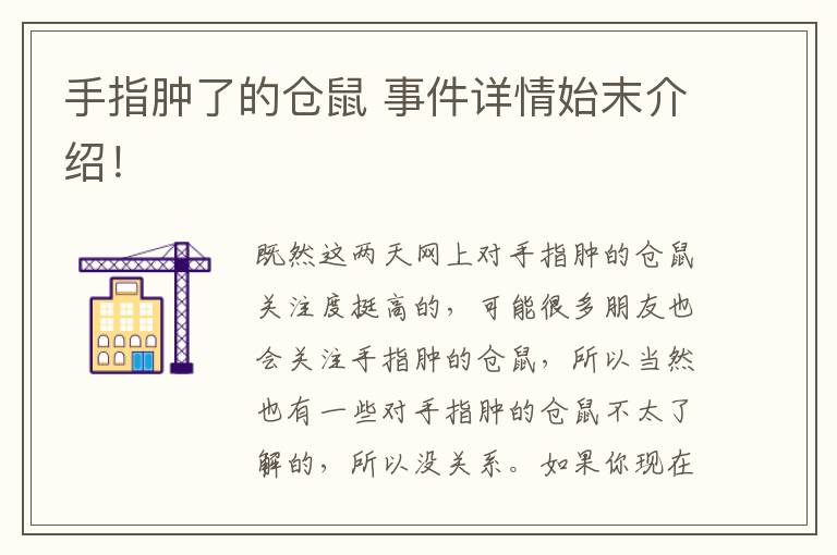 手指肿了的仓鼠 事件详情始末介绍！