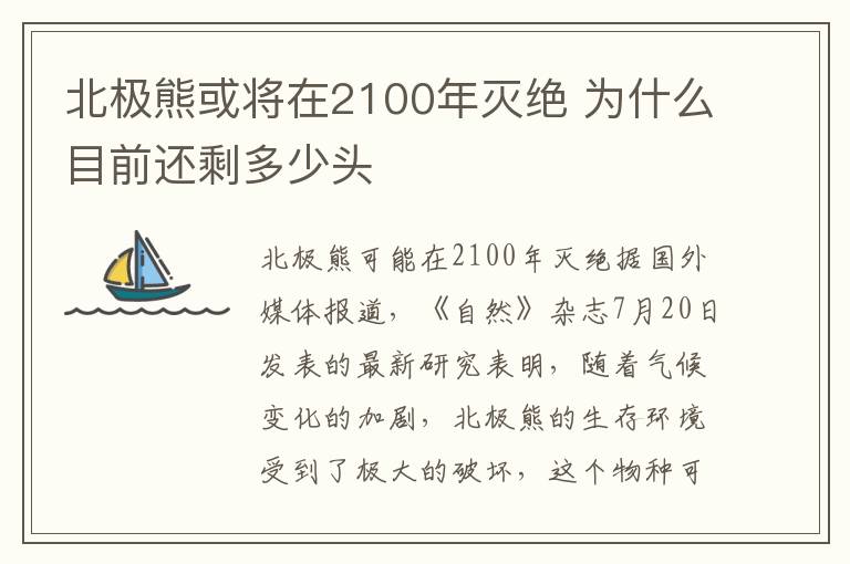 北极熊或将在2100年灭绝 为什么目前还剩多少头