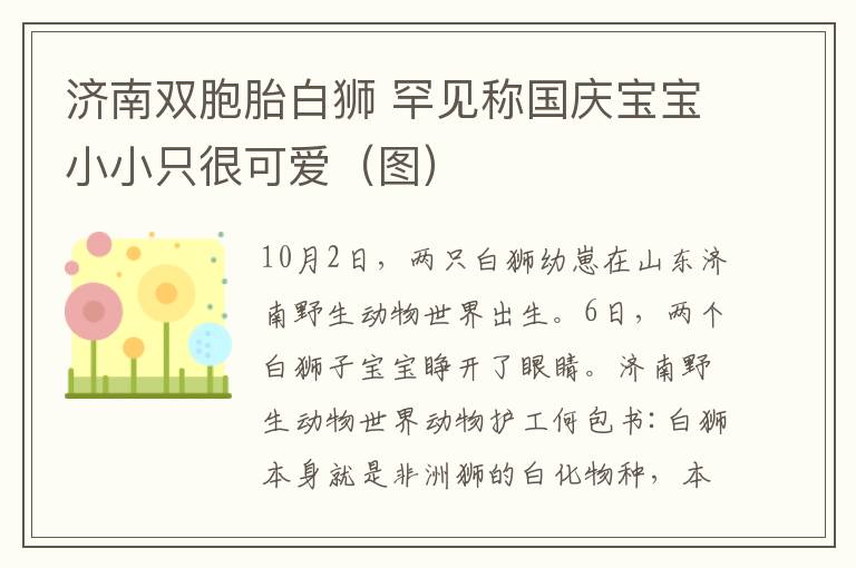 济南双胞胎白狮 罕见称国庆宝宝小小只很可爱（图）