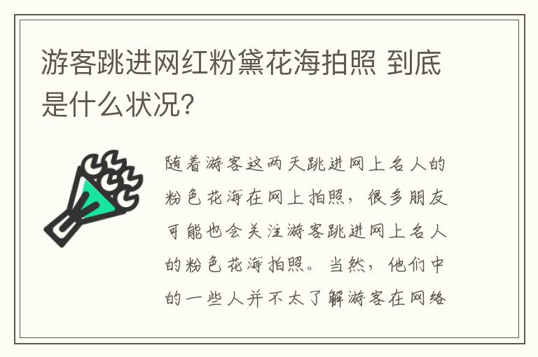 游客跳进网红粉黛花海拍照 到底是什么状况？