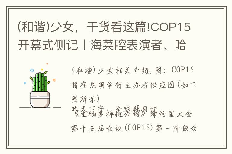 (和谐)少女，干货看这篇!COP15开幕式侧记丨海菜腔表演者、哈尼族少女和阿勒泰河狸公主…他们向世界讲述人与自然和谐相处的中国经验