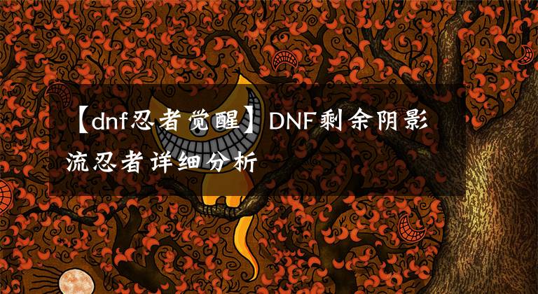 【dnf忍者觉醒】DNF剩余阴影流忍者详细分析