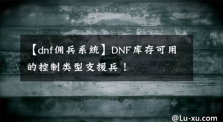 【dnf佣兵系统】DNF库存可用的控制类型支援兵！