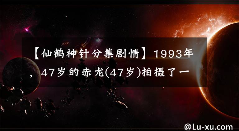 【仙鹤神针分集剧情】1993年，47岁的赤龙(47岁)拍摄了一部武侠经典，但由于内容缩减而被埋没