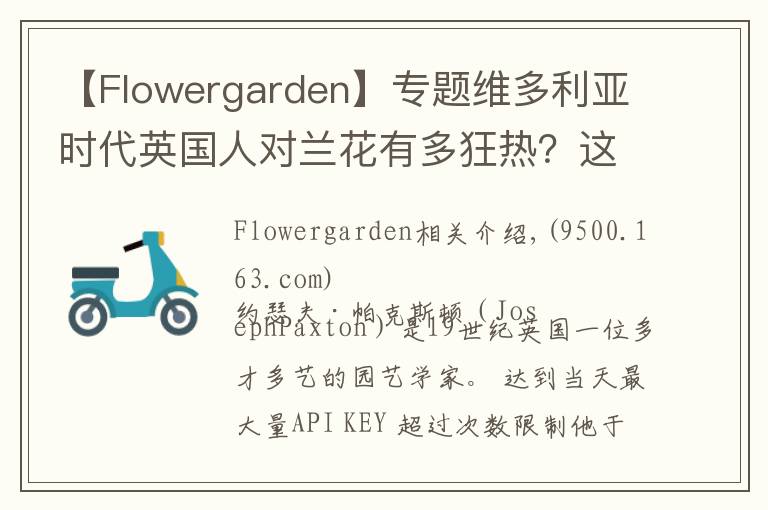 【Flowergarden】专题维多利亚时代英国人对兰花有多狂热？这位画家的手绘图留存了那份迷恋
