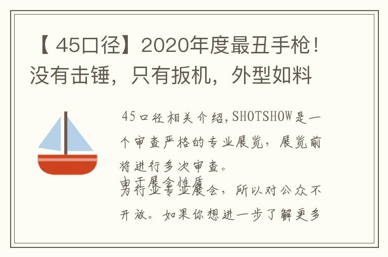 【 45口径】2020年度最丑手枪！没有击锤，只有扳机，外型如料理喷枪