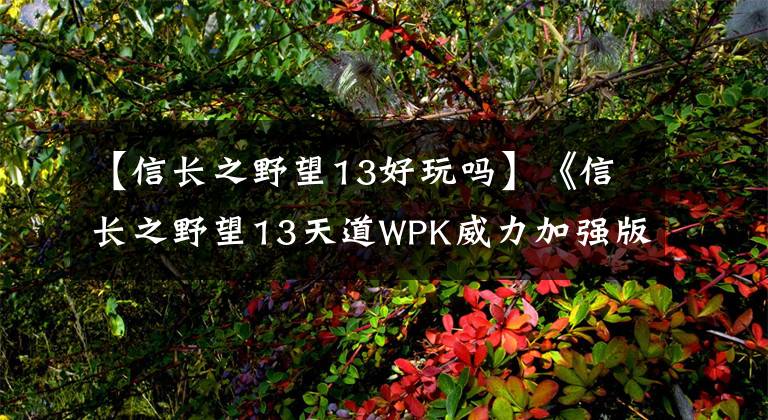 【信长之野望13好玩吗】《信长之野望13天道WPK威力加强版》登录Steam  6.26发布