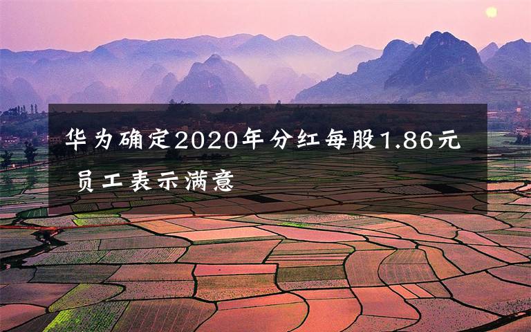 华为确定2020年分红每股1.86元 员工表示满意