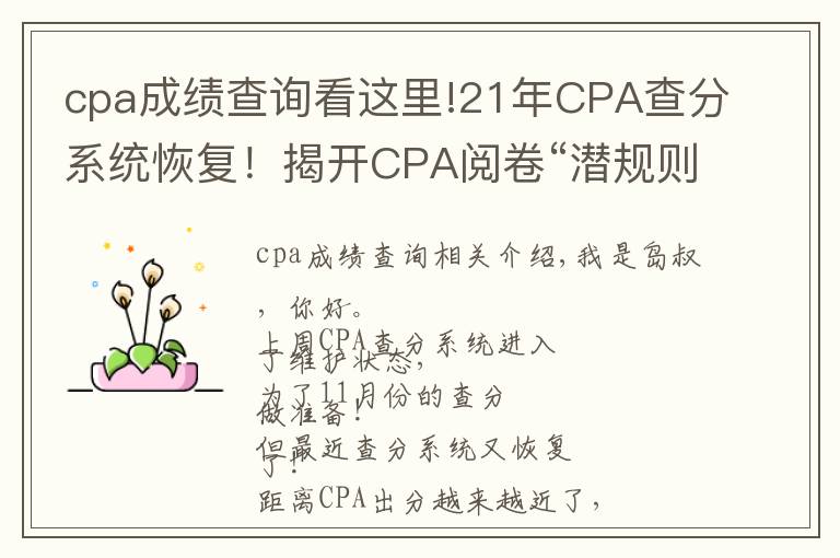 cpa成绩查询看这里!21年CPA查分系统恢复！揭开CPA阅卷“潜规则”