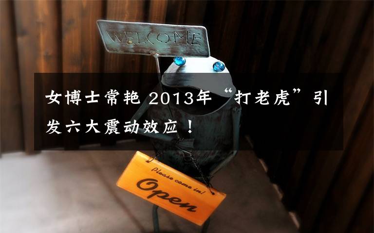 女博士常艳 2013年“打老虎”引发六大震动效应！