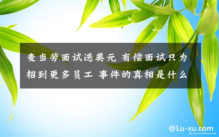 麦当劳面试送美元 有偿面试只为招到更多员工 事件的真相是什么？