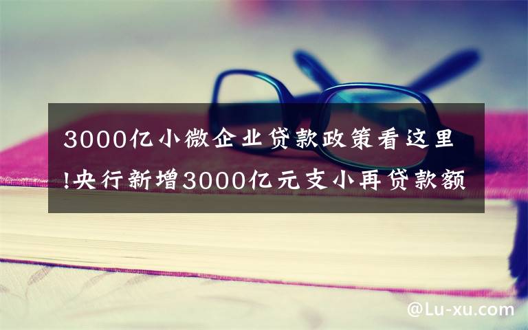 3000亿小微企业贷款政策看这里!央行新增3000亿元支小再贷款额度 加大对中小微企业纾困帮扶力度