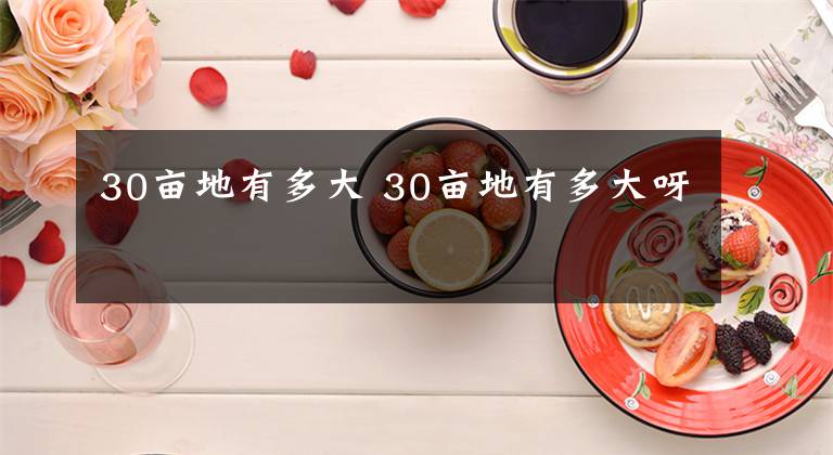30亩地有多大 30亩地有多大呀文章配图