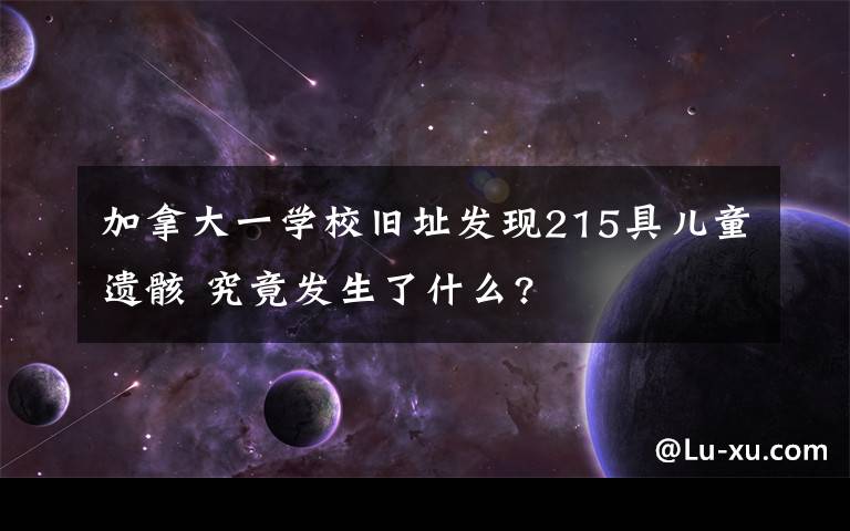 加拿大一学校旧址发现215具儿童遗骸 究竟发生了什么?文章配图