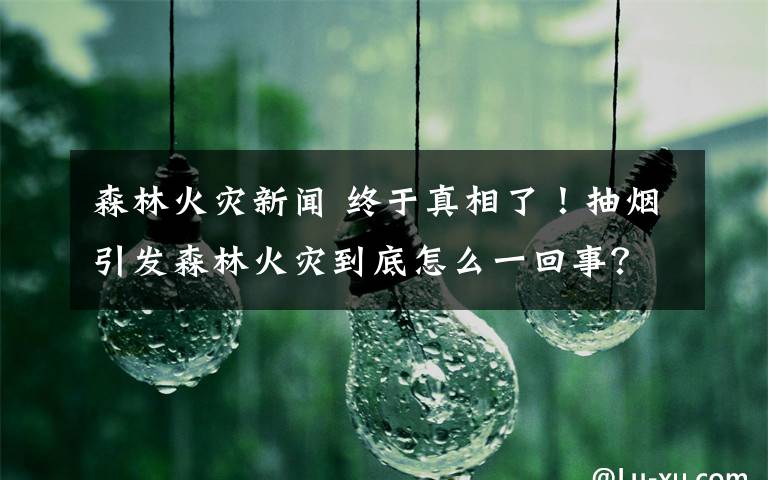 森林火灾新闻 终于真相了！抽烟引发森林火灾到底怎么一回事？背后详情始末曝光