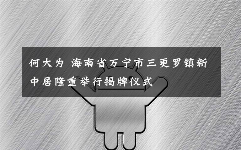 何大为 海南省万宁市三更罗镇新中居隆重举行揭牌仪式