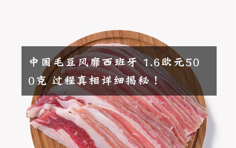 中国毛豆风靡西班牙 1.6欧元500克 过程真相详细揭秘！