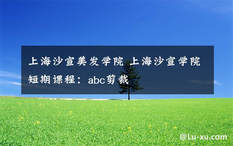 上海沙宣美发学院 上海沙宣学院短期课程：abc剪裁