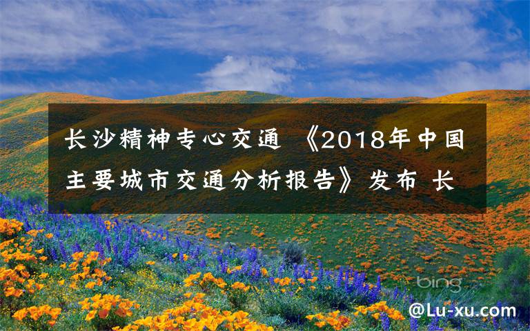 长沙精神专心交通 《2018年中国主要城市交通分析报告》发布 长沙人平均每天半小时堵在路上