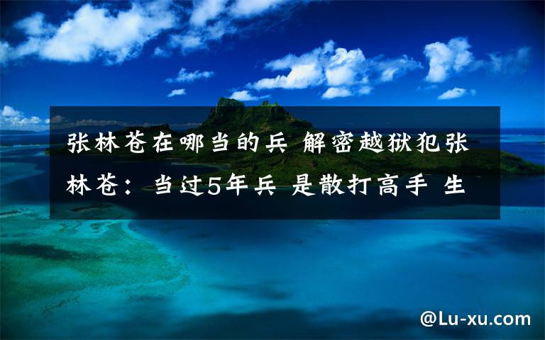 张林苍在哪当的兵 解密越狱犯张林苍：当过5年兵 是散打高手 生意失败后贩毒