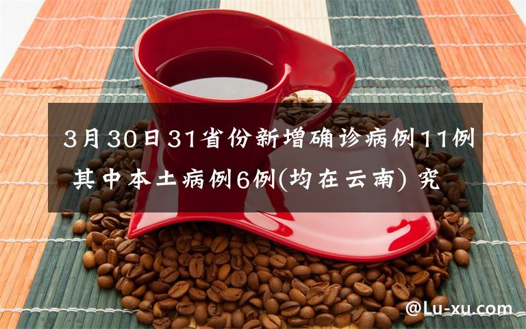 3月30日31省份新增确诊病例11例 其中本土病例6例(均在云南) 究竟是怎么一回事?