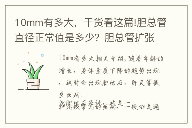 10mm有多大，干货看这篇!胆总管直径正常值是多少？胆总管扩张很常见，希望你不会中招