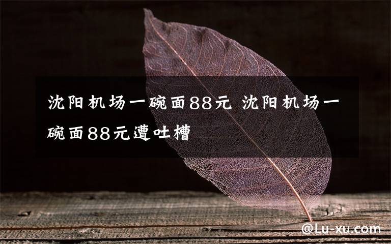 沈阳机场一碗面88元 沈阳机场一碗面88元遭吐槽