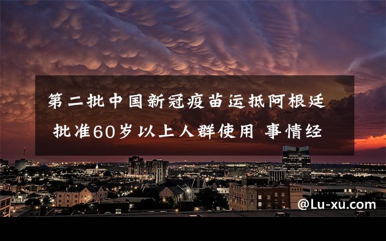 第二批中国新冠疫苗运抵阿根廷 批准60岁以上人群使用 事情经过真相揭秘！