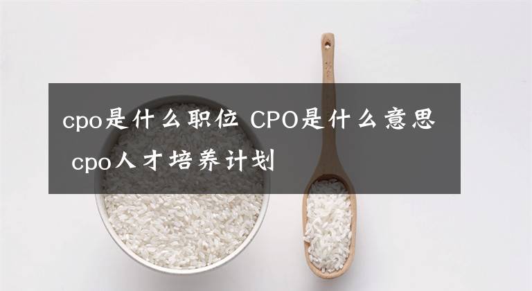 cpo是什么职位 CPO是什么意思 cpo人才培养计划