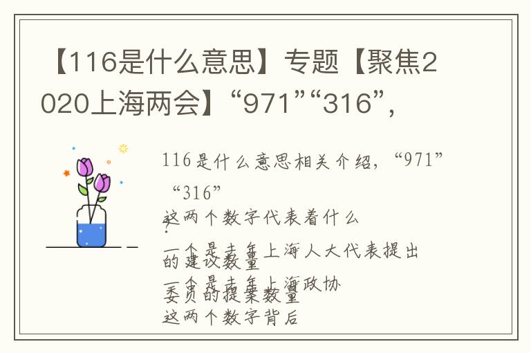 【116是什么意思】专题【聚焦2020上海两会】“971”“316”，这两个与上海两会有关的数字背后有怎样的故事？