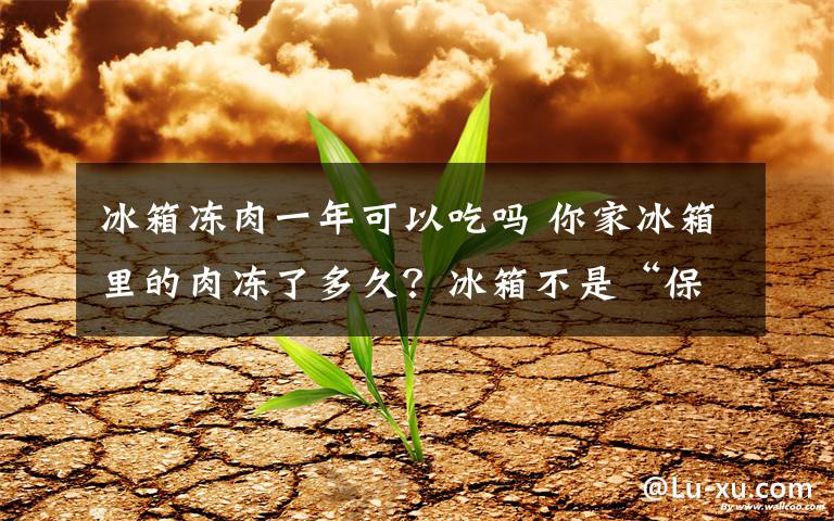 冰箱冻肉一年可以吃吗 你家冰箱里的肉冻了多久？冰箱不是“保险柜”各种肉类冷冻有保质期