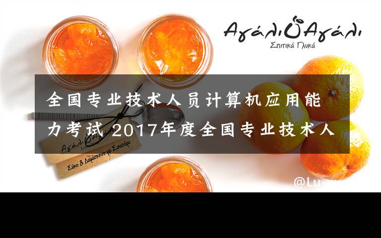 全国专业技术人员计算机应用能力考试 2017年度全国专业技术人员计算机应用能力考试合格证书（第一批）领取通知