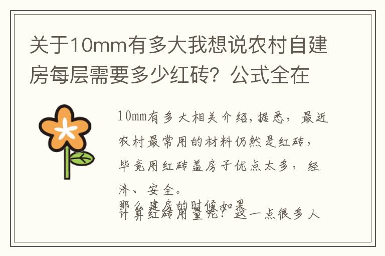 关于10mm有多大我想说农村自建房每层需要多少红砖？公式全在这里，看完你就懂了