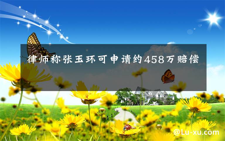 律师称张玉环可申请约458万赔偿