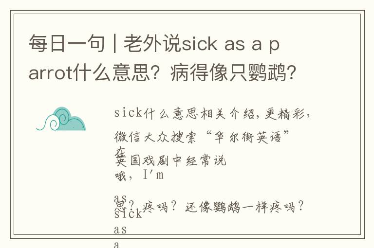 每日一句 | 老外说sick as a parrot什么意思？病得像只鹦鹉？