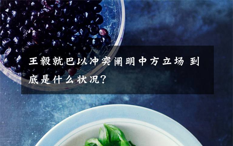 王毅就巴以冲突阐明中方立场 到底是什么状况？