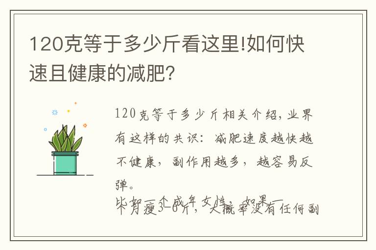 120克等于多少斤看这里!如何快速且健康的减肥？