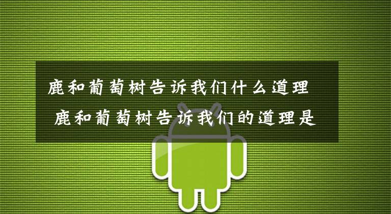 鹿和葡萄树告诉我们什么道理 鹿和葡萄树告诉我们的道理是什么 啄木鸟和树的故事告诉我们什么