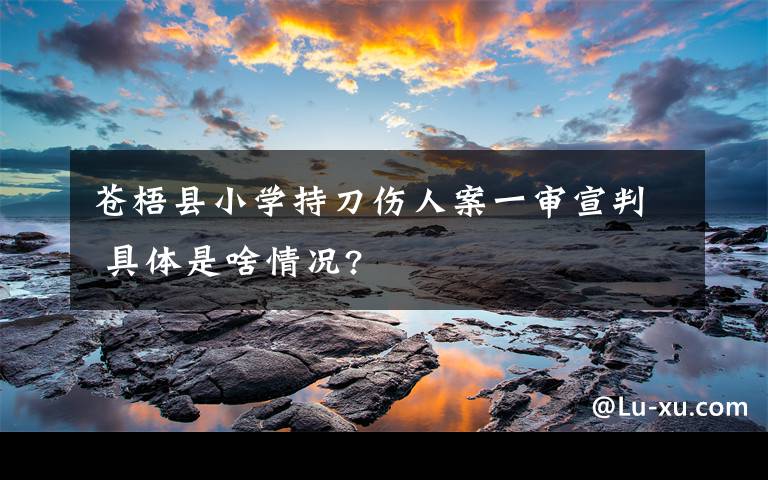 苍梧县小学持刀伤人案一审宣判 具体是啥情况?