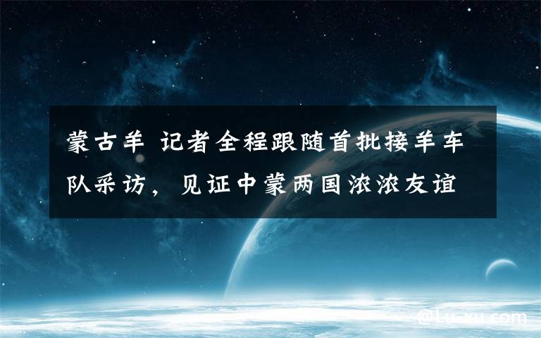 蒙古羊 记者全程跟随首批接羊车队采访，见证中蒙两国浓浓友谊，蒙古国捐赠羊入汉记