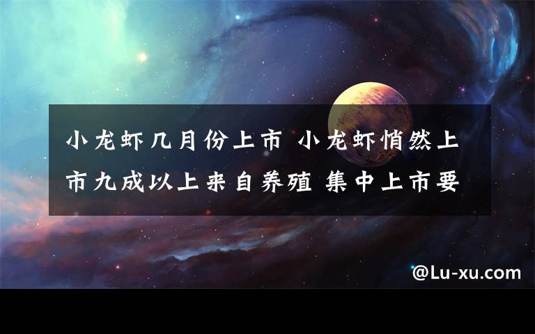 小龙虾几月份上市 小龙虾悄然上市九成以上来自养殖 集中上市要等到5月