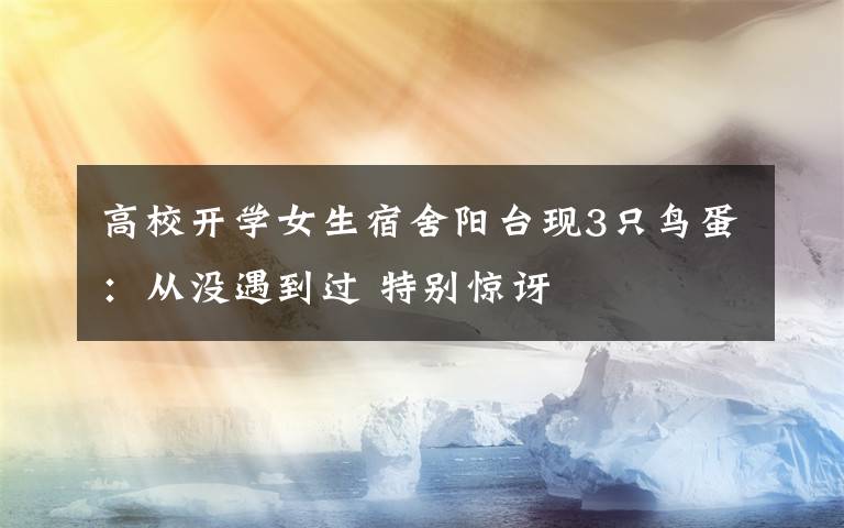 高校开学女生宿舍阳台现3只鸟蛋：从没遇到过 特别惊讶